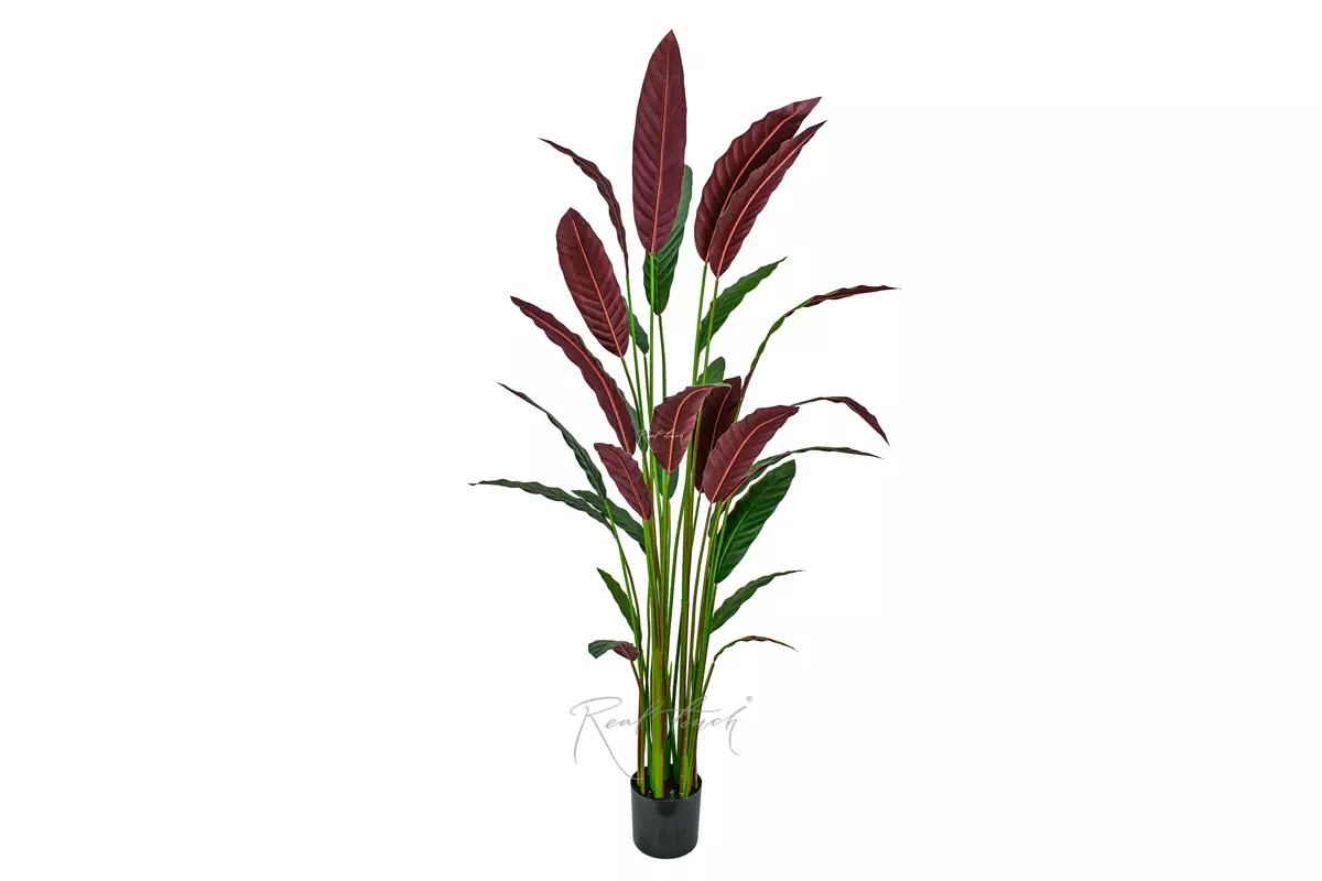 Artificial Calathea rufibarba 180cm - Dark green Artificial Calathea rufibarba 180cm - Dark green