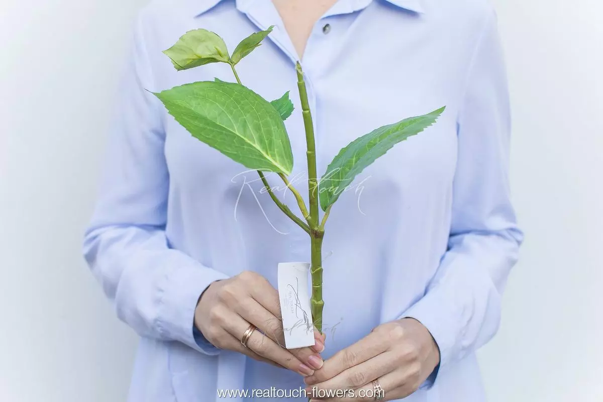 Small stem for hydrangea - green