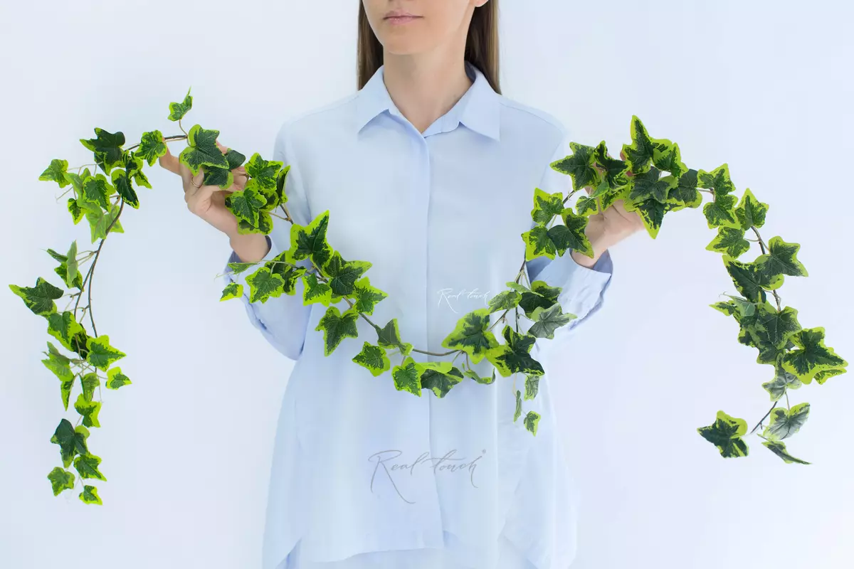 Hedera (ivy) 190 cm - white green