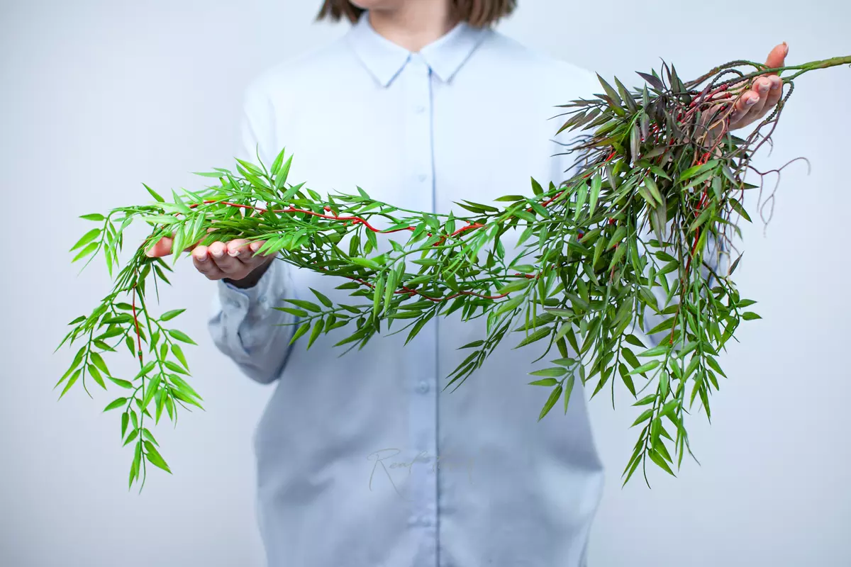 Hanging bamboo bush 2 - green