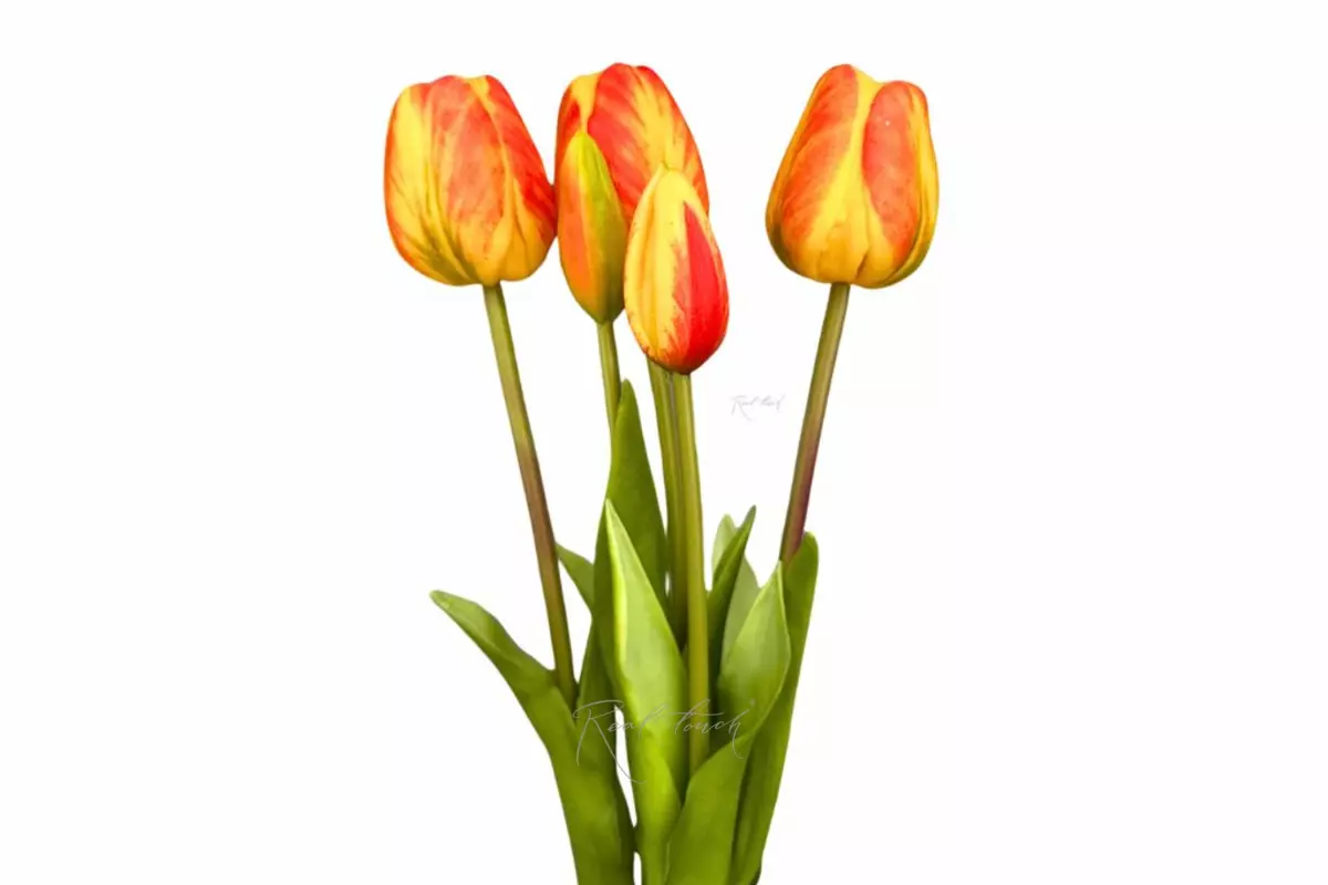 Bouquet of late tulips 3+2 - orange Bouquet of late tulips 3+2 - orange