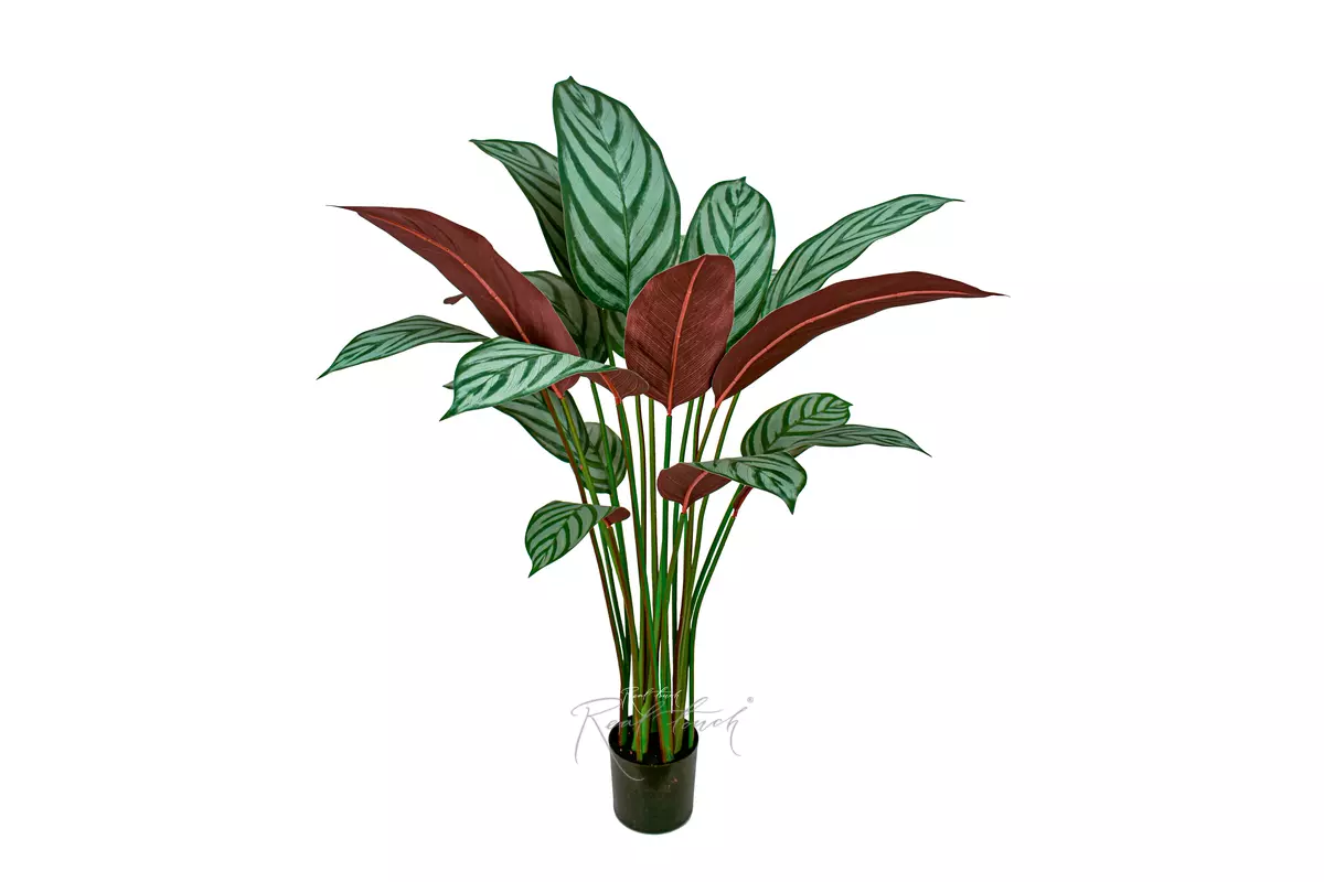 Artificial Calathea Freddie Bush 110cm - white green Artificial Calathea Freddie Bush 110cm - white green