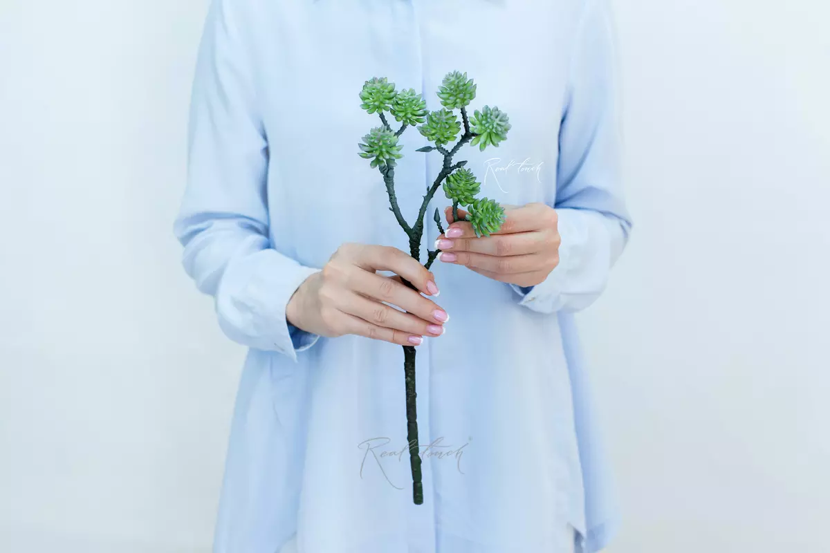 Succulent 415 - green